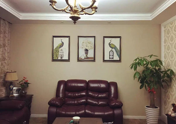 加盟硅藻泥品牌