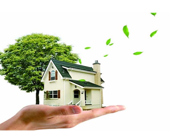 內(nèi)墻硅藻泥